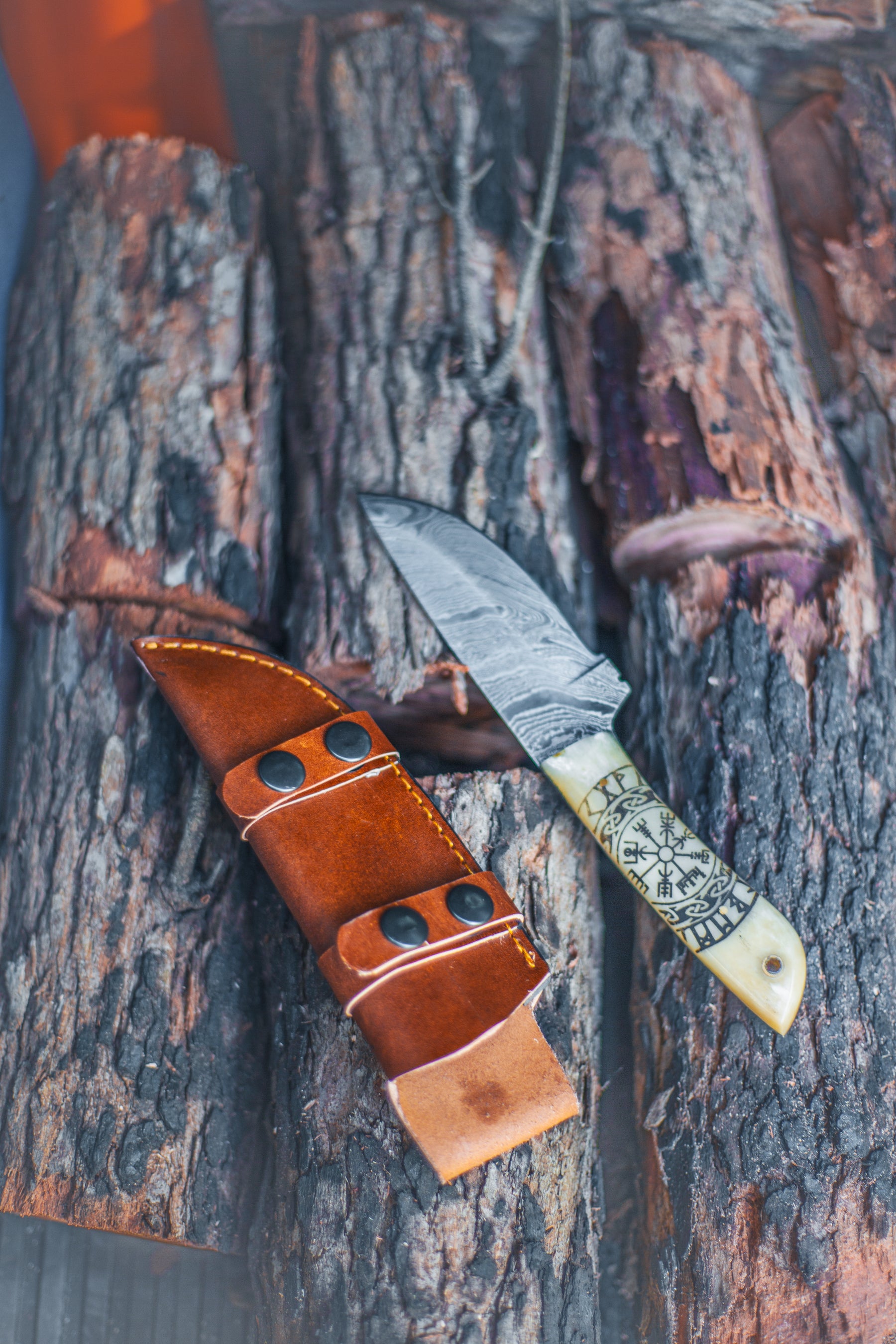 The Pathfinder’s Edge Knife