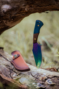 Multicolor